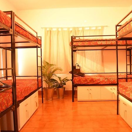 Be Animal Hostel Bangalore Exteriör bild